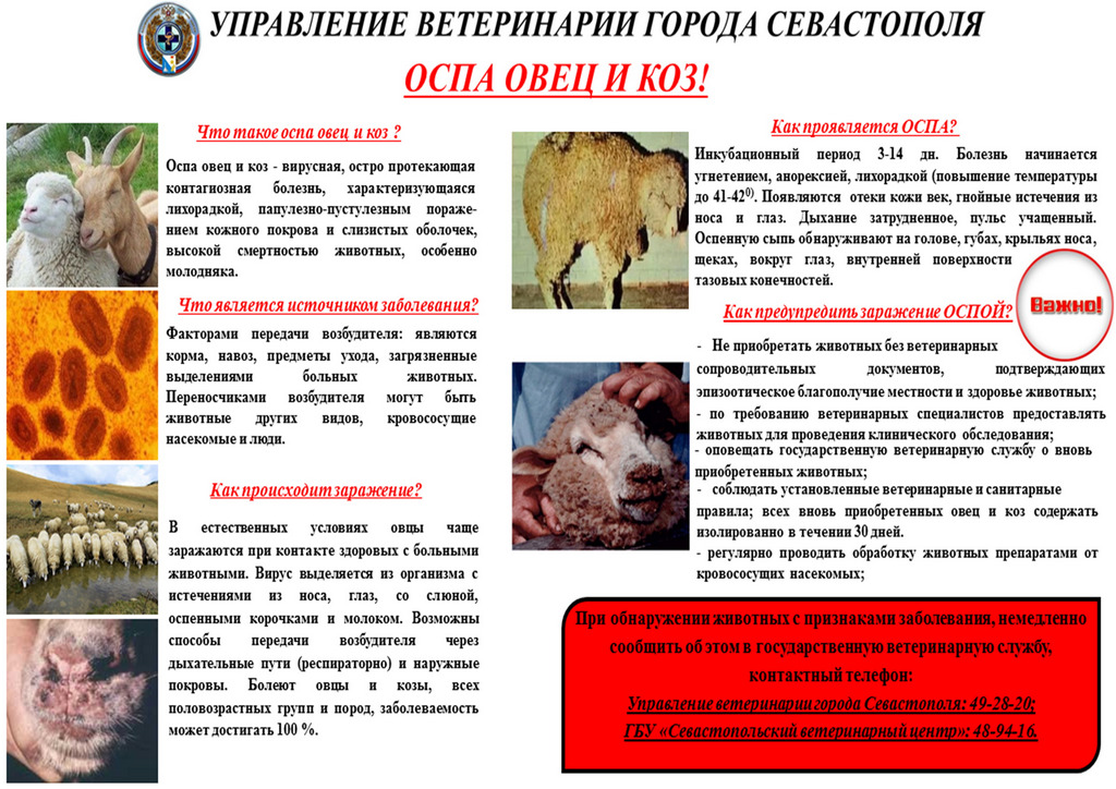 ospa web 04
