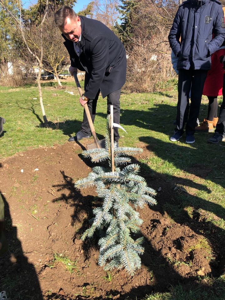 torzhestvennaya linejka posvyashjonnaya akcii Derevo imeni 01