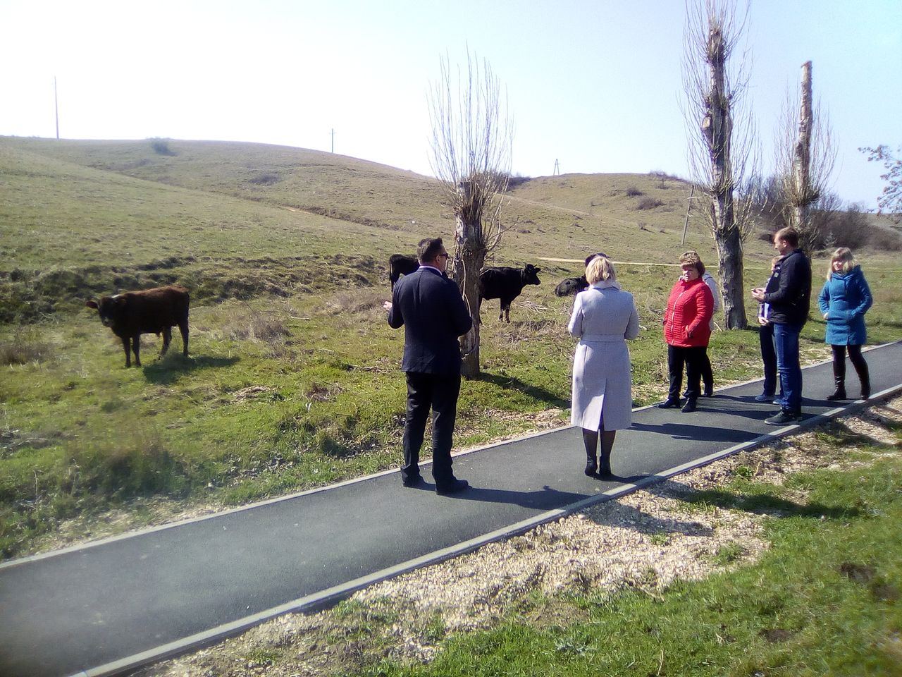 O narusheniyah vypasa skota 01