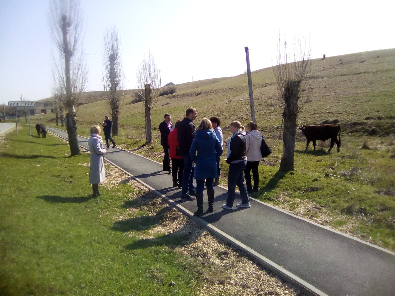 O narusheniyah vypasa skota 01