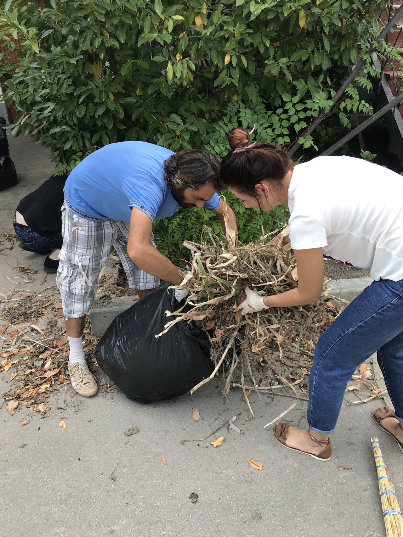 subbotnik 21.08.2020 01