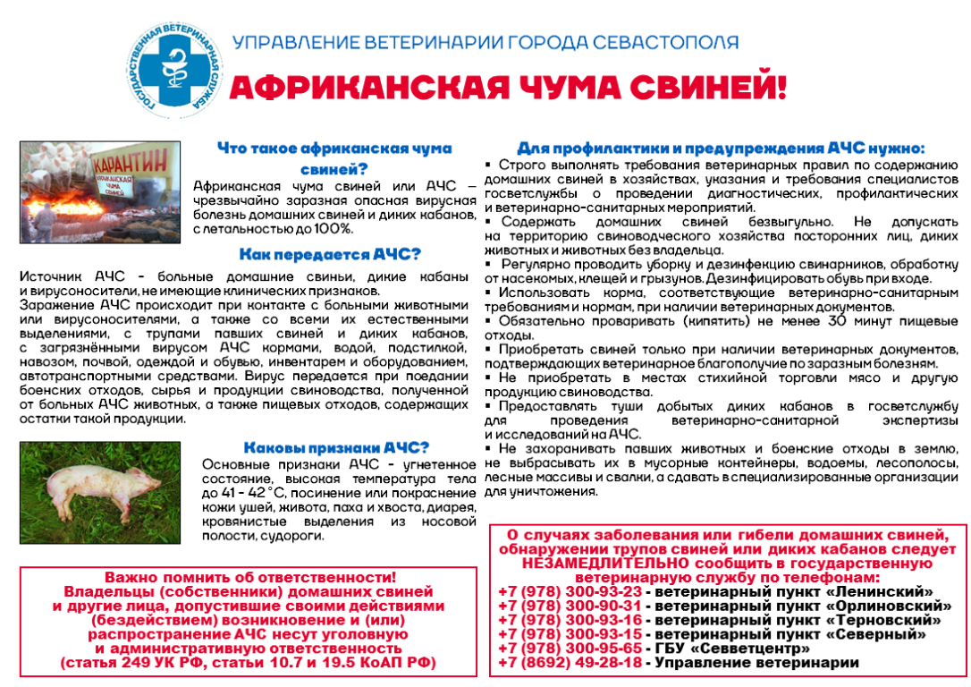 АЧС