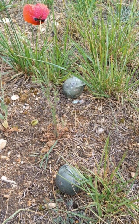 Image-1