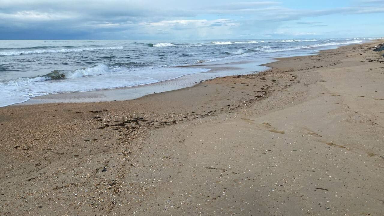 suQNuOmt9FK6XBq0qeScNeaexIgTj16Qvthm48UB