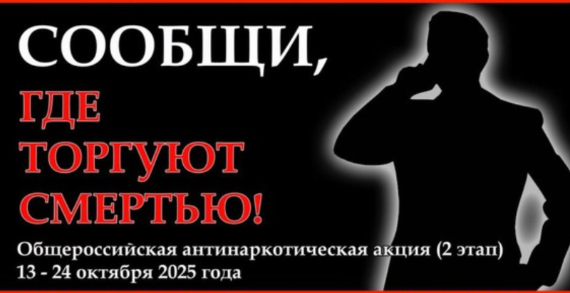 NR6a850c25de5ff286f567227983b7a310