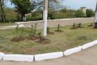 subbotnik_administraciya_23_04_2016_06